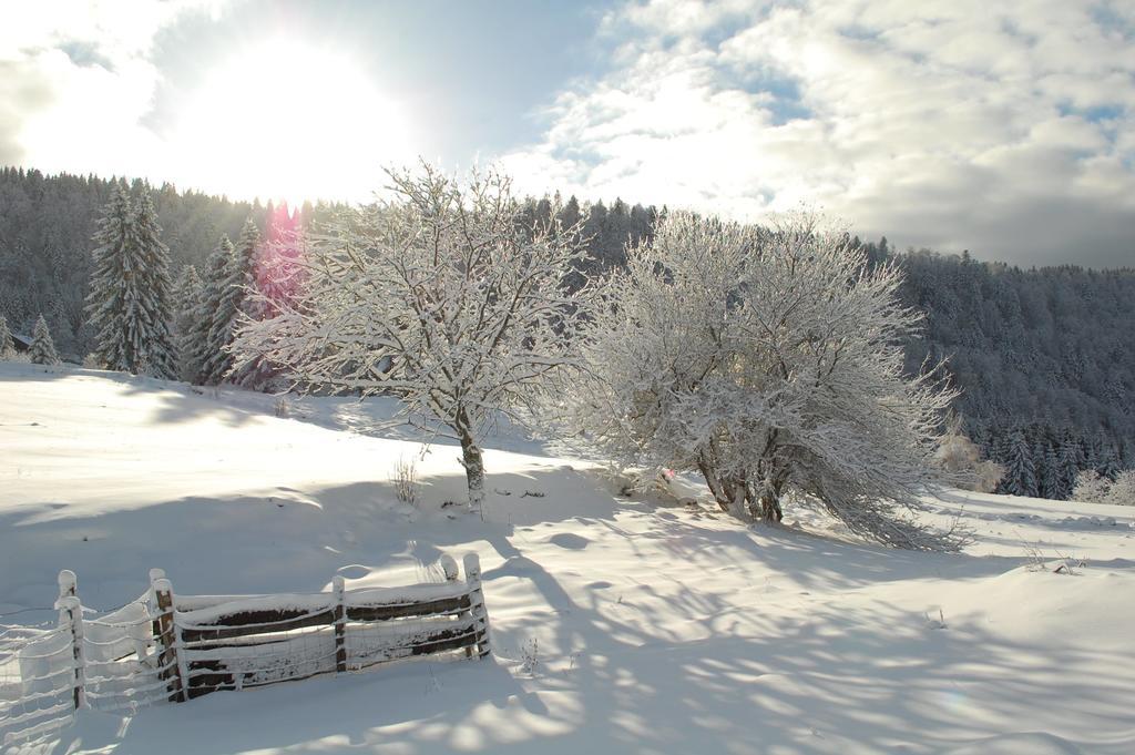 La Haut & Spa Ventron Pokój zdjęcie
