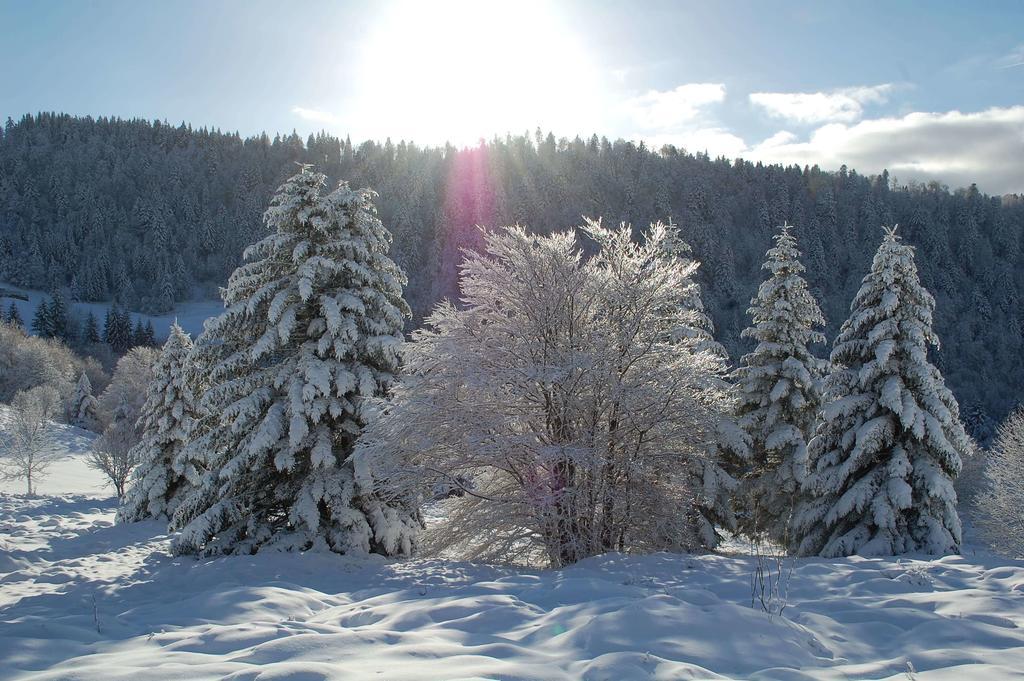 La Haut & Spa Ventron Pokój zdjęcie
